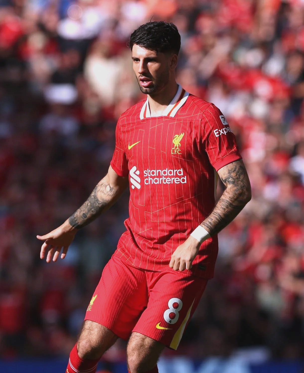 九游体育在线-包含匈牙利运动员备战兢兢业业，备战表现让人期待的词条