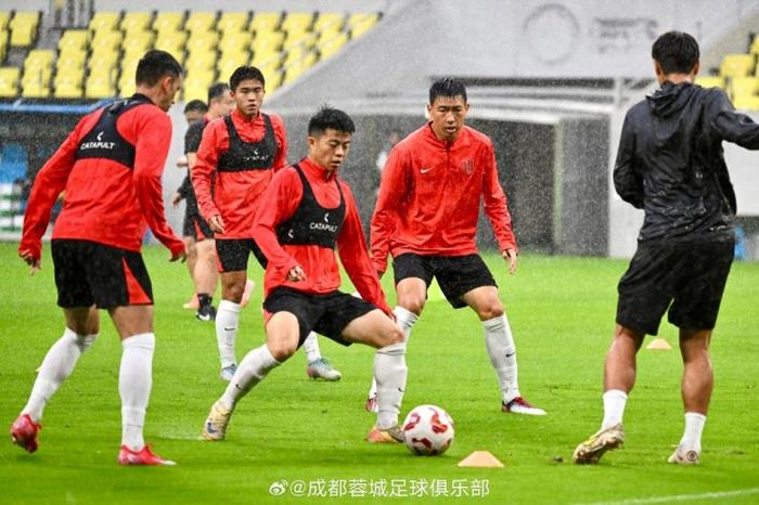 外援球员因伤缺阵，球队面临严峻考验